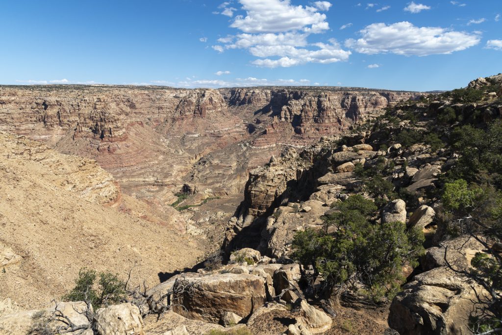 Dark Canyon, Utah, Etats Unis