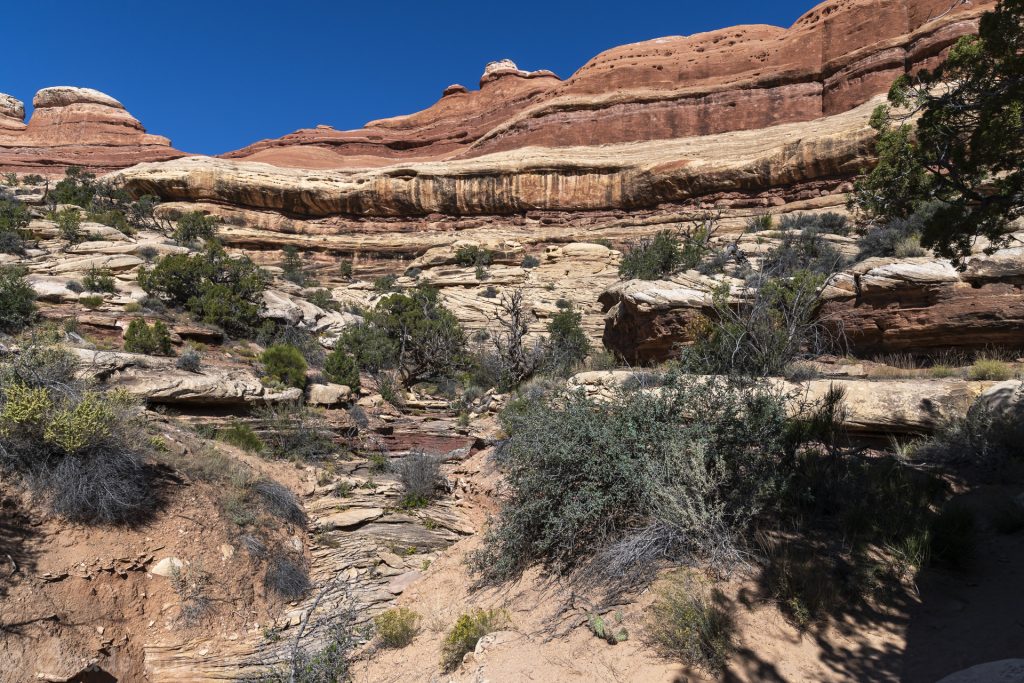 Canyonlands National Park, Needles District, Utah, Etats Unis