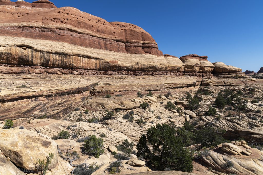 Canyonlands National Park, Needles District, Utah, Etats Unis
