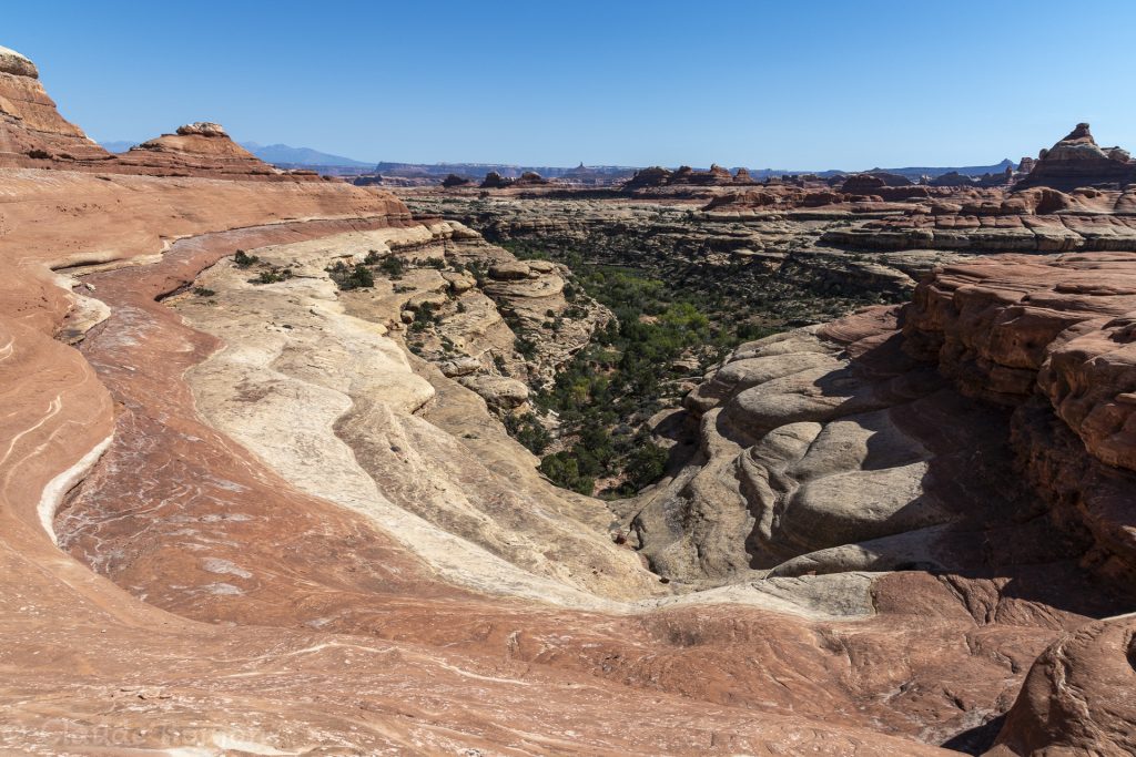 Canyonlands National Park, Needles District, Utah, Etats Unis