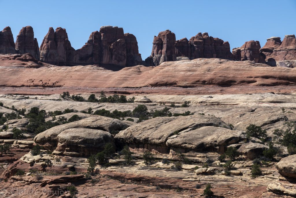 Canyonlands National Park, Needles District, Utah, Etats Unis