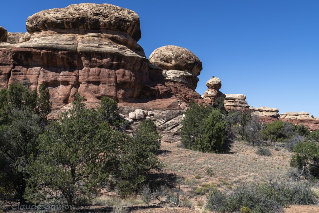 Canyonlands National Park, Needles District, Utah, Etats Unis