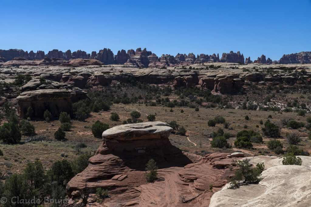 Canyonlands National Park, Needles District, Utah, Etats Unis