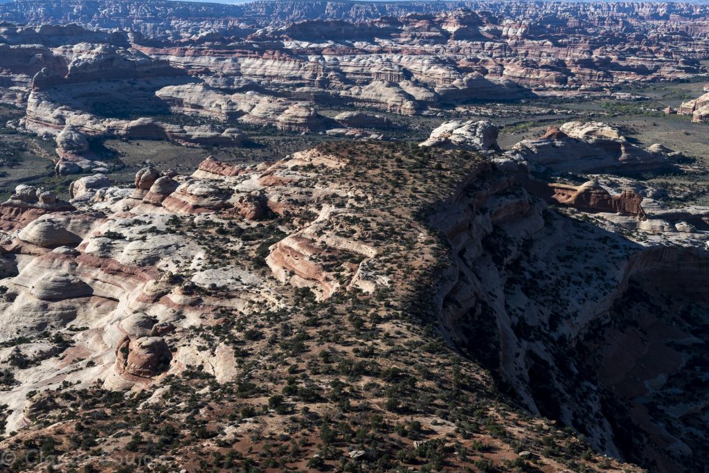 Salt Creek Canyon, Canyonlands National Park, Utah, Etats Unis