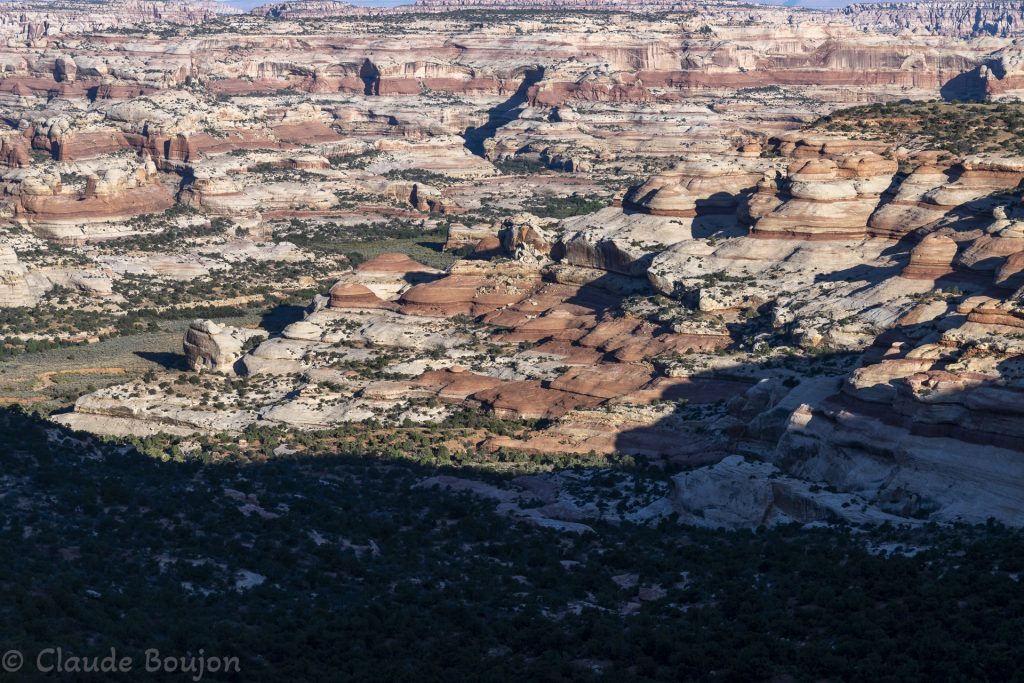 Salt Creek Canyon, Canyonlands National Park, Utah, Etats Unis