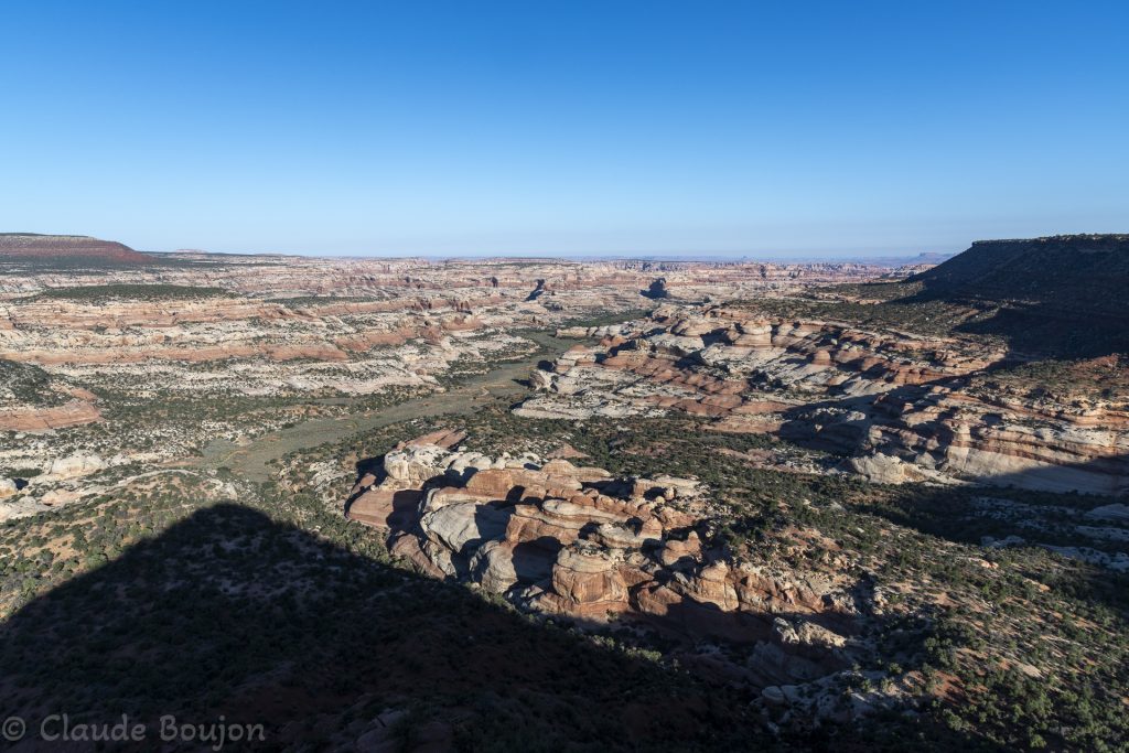 Salt Creek Canyon, Canyonlands National Park, Utah, Etats Unis