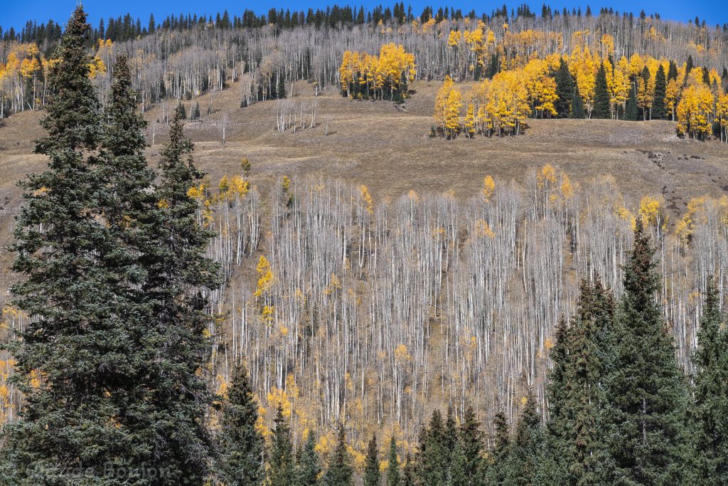 Près de Silverton, Colorado, États Unis