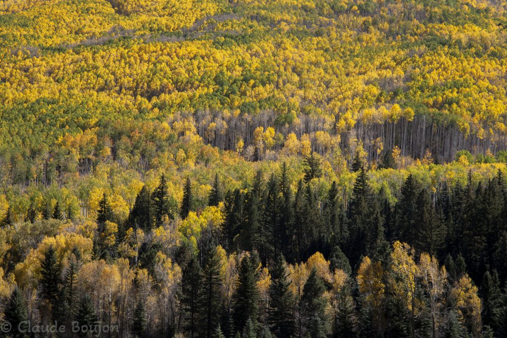 Près de Silverton, Colorado, États Unis