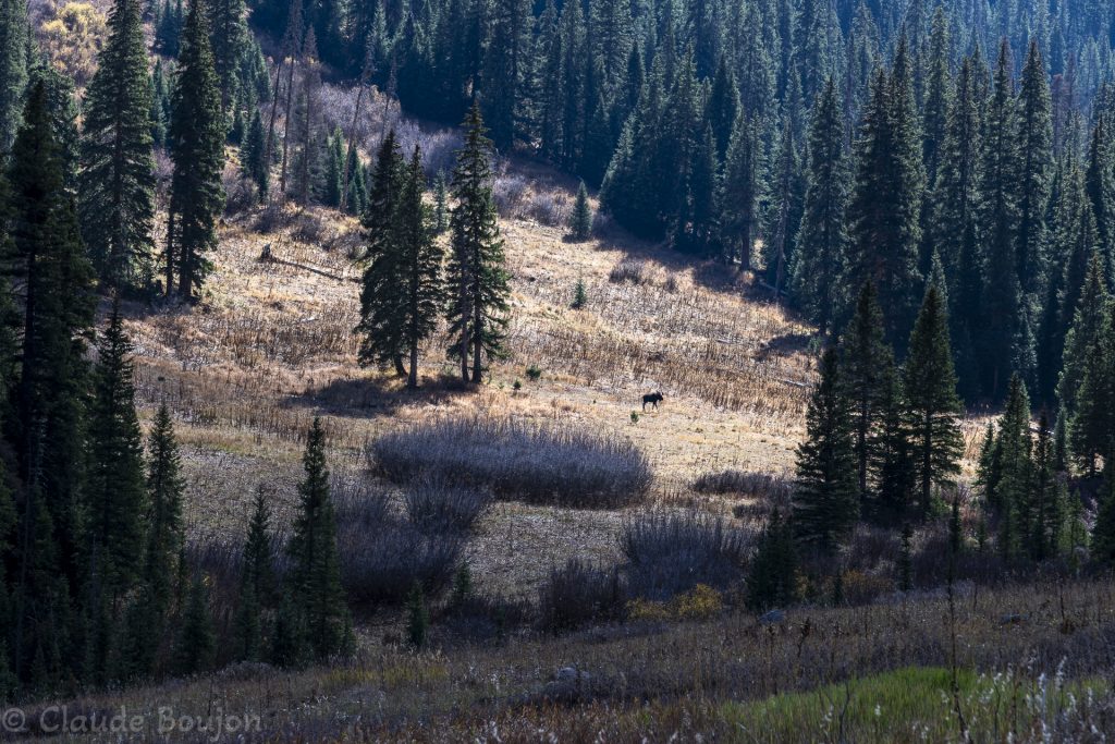 South Fork Mineral Creek, Colorado, États Unis
